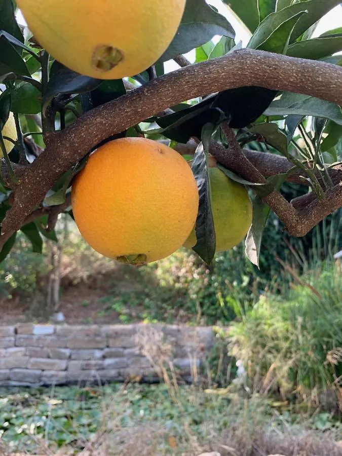 A Natural Retreat Mijas